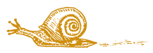 SNAIL