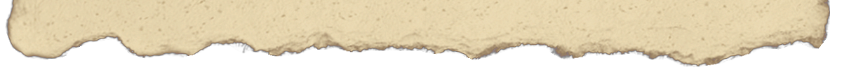 paper-tear-22971100_04